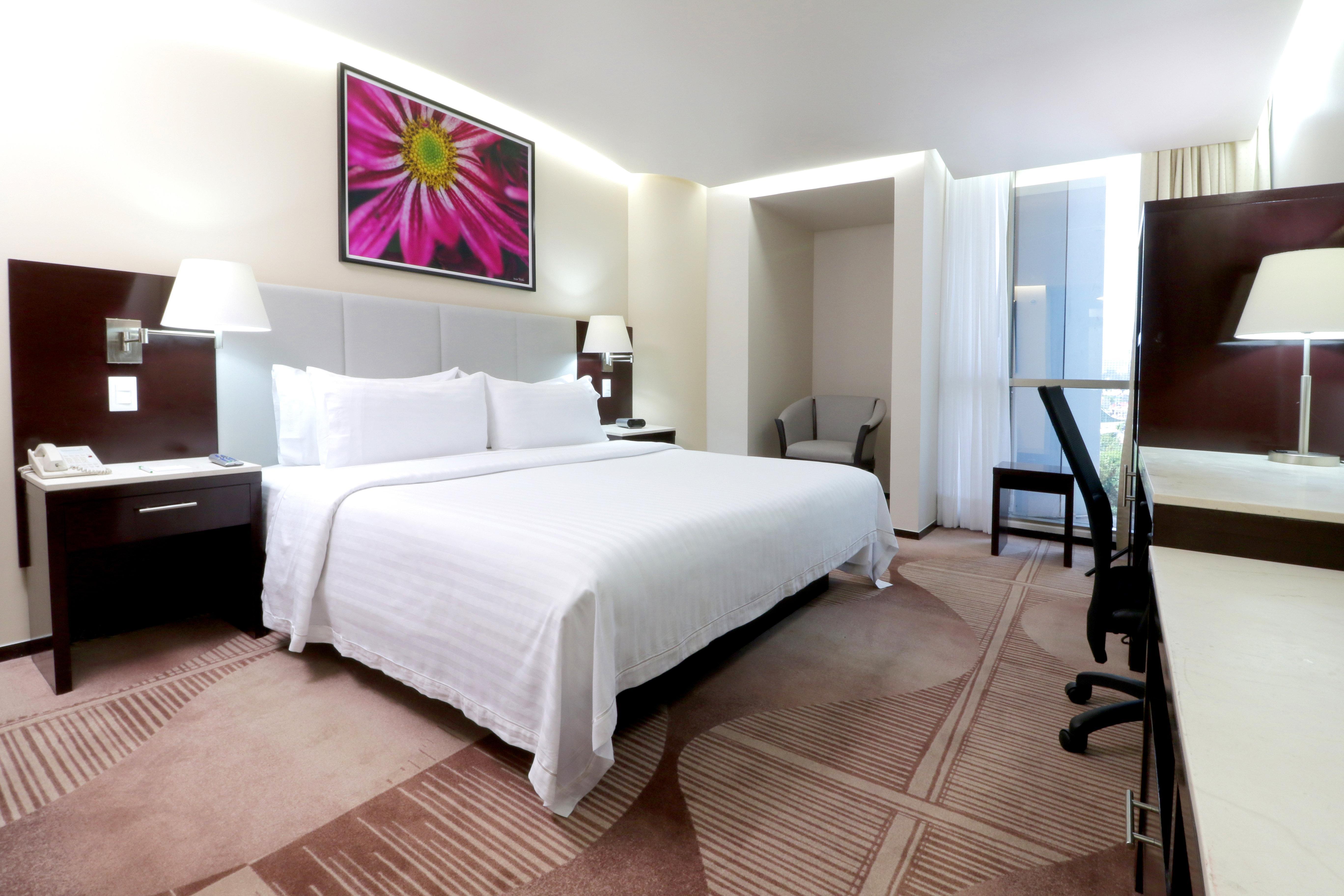 Holiday Inn Hotel & Suites Mexico Medica Sur By Ihg Zewnętrze zdjęcie